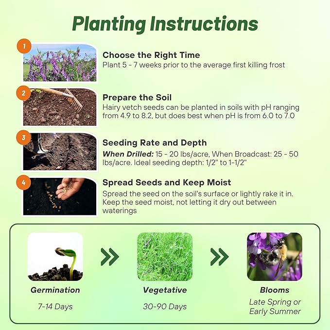 Outsidepride Hairy Vetch Cover Crop Seeds - 1 Lb Cold Tolerant, Winter Hardy - Ideal for Soil Improvement, Green Pasture, Hay & Livestock Forage - Pollinator Friendly Garden Seeds, Ground Cover