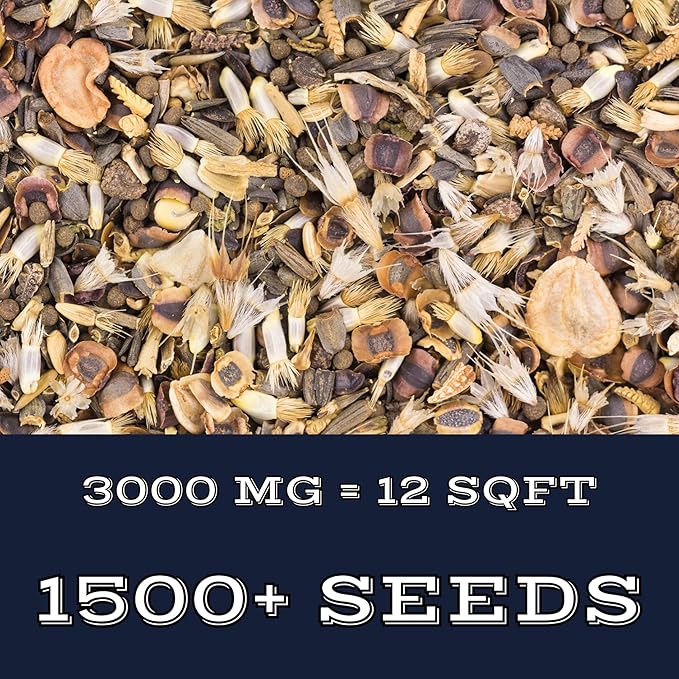 Partial Shade Wildflower Mix (Seed Packet) Sprinkle a Little Magic—Our Shade, Perennial, Hummingbird, Deer-Resistant, and Other mixes Bring Vibrant Color and pollinator Joy to Any Space.