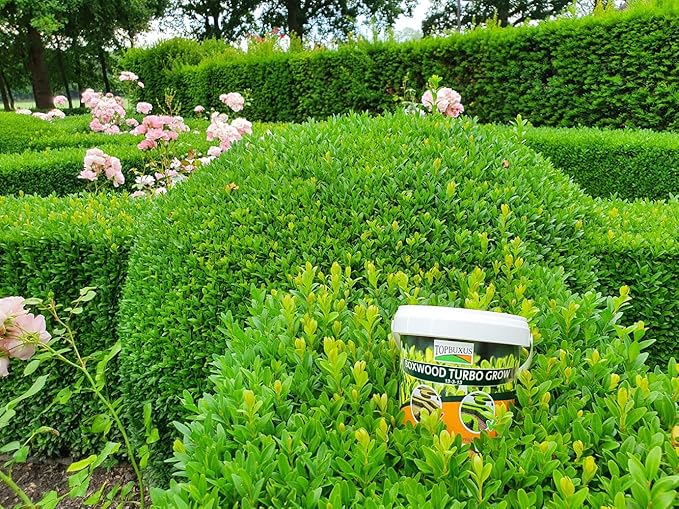 TOPBUXUS Boxwood Turbo Grow - Professional Boxwood Fertilizer - 1 lbs. for 100 sq. ft.
