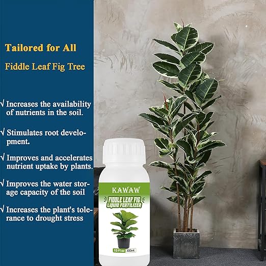 10oz Fiddle Leaf Fig Fertilizer Liquid - Organic Microbial Probiotic Plant Food for Ficus Lyrata - Promotes Roots & Greener Leaves