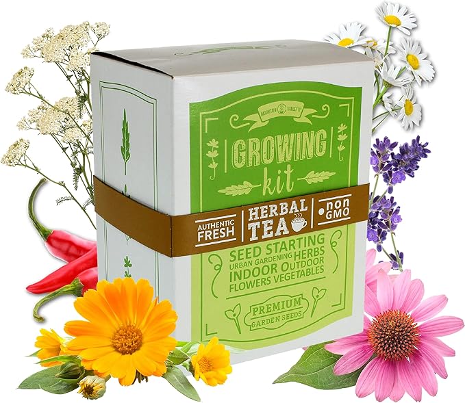 Medicinal & Herbal Tea Indoor Herb Garden Starter Kit - Basic Herb Seeds for Planting - 6 Non-GMO Varieties - Seeds Include Hot Pepper, Yarrow, Echinacea, Calendula, Chamomile, and Lavender