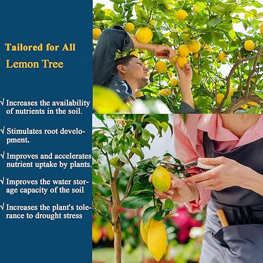 Liquid Lemon Tree Fertilizer - 10oz Microbial Organic Citrus Tree Fertilizer for Potted Trees & Indoor Plants, Meyer Lemon Tree Food, Concentrated Nutrient Solution