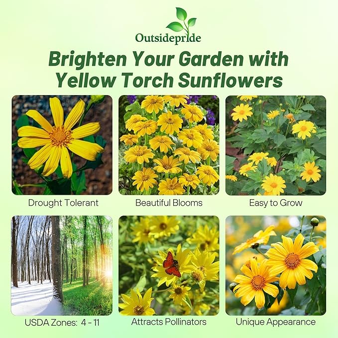 Outsidepride Yellow Torch Mexican Sunflower Seeds - 500 Pcs Annual, Easy-to-Grow, Yellow Tithonia Speciosa Flower Seeds w/Drought-Tolerant Blooms for Pollinator Gardens & Vibrant Summer Landscaping
