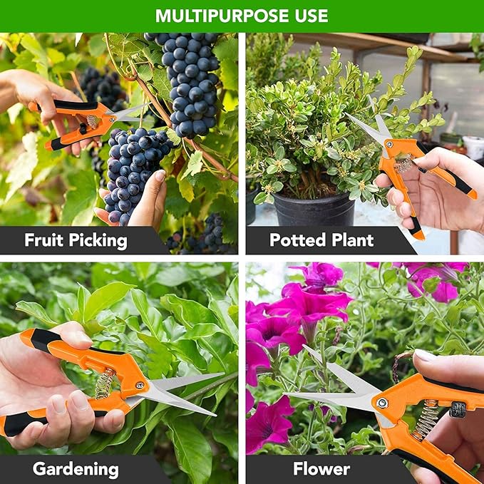 iPower 6.5 Inch Gardening Scissors Hand Pruner Pruning Shear with Straight Stainless Steel Blades, Orange, 1-Pack