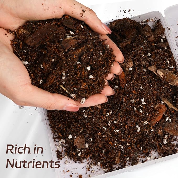Organic Pothos Soil Mix 4qt, Indoor Plants Potting Mix for All Potted Pothos, Grow Healthy houseplants Indoors