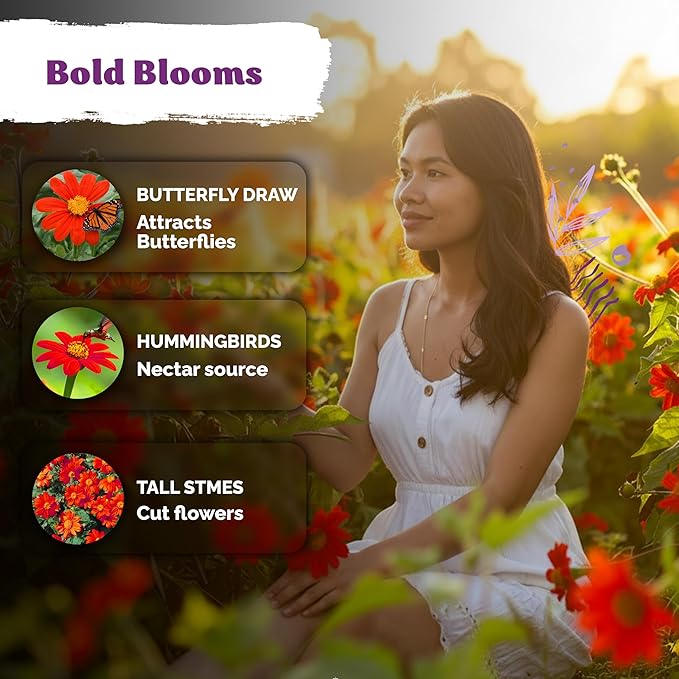 KVITER 150 Mexican Sunflower Seeds For Planting (Tithonia rotundifolia) – Tithonia Seed Packets Bulk, Red Sunflower Heirloom Seed Orange Sunflowers – Flower Seeds Garden Beds and Outdoor Flower Garden