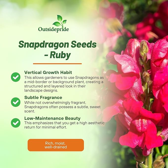 Outsidepride Ruby Snapdragon Seeds - 10000 Pcs Annual Flower Seeds for Planting, Frost-Tolerant, Pollinator-Friendly Cool-Season Plant with Attractive Blooms for Cut Flower Arrangements