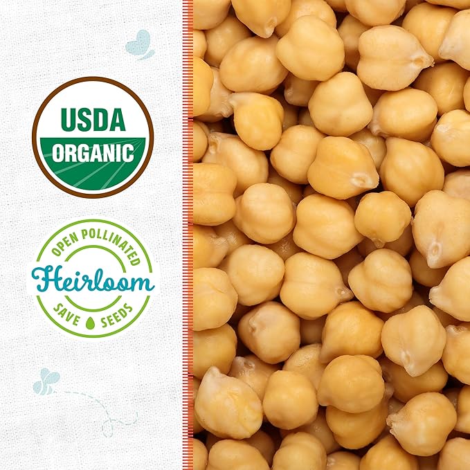 Back to The Roots 100% Organic Seed Packet - Bean 'Garbanzo' 8.4g