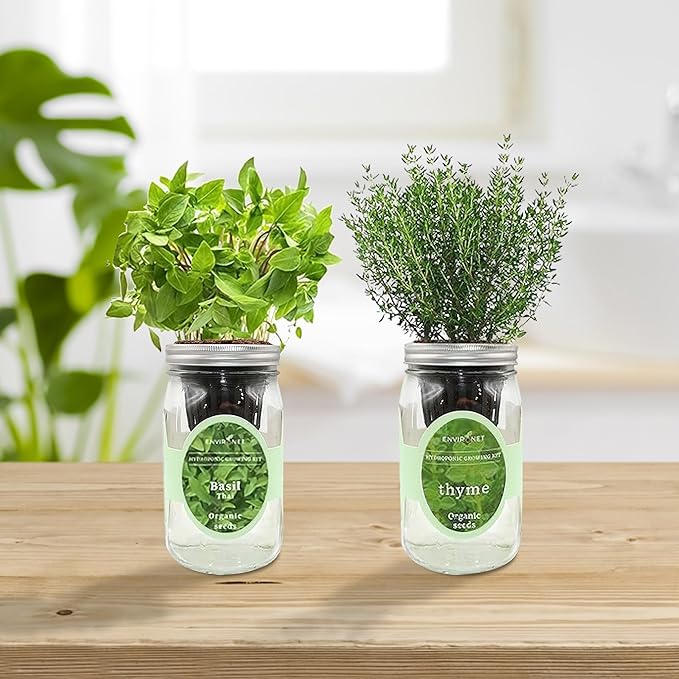 2-Pack Hydroponic Mason Jar Herb Garden Kit, Indoor Herb Garden Self-Watering Starter Kit, New Christmas Gift for Mom (Thyme,Thai Basil)