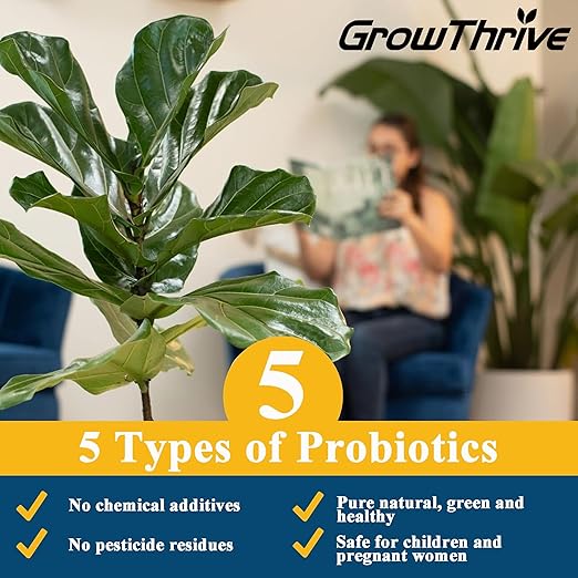 10oz Fiddle Leaf Fig Fertilizer Liquid - Organic Microbial Probiotic Plant Food for Ficus Lyrata - Promotes Roots & Greener Leaves