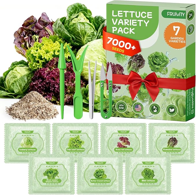 7000+ Organic Lettuce Seeds Collection - 7 Variety Heirloom Lettuce Mix Romaine, Iceberg Lettuce etc Non-GMO, Seeds for Planting Vegetable for Hydroponics or Garden (7 PCS)