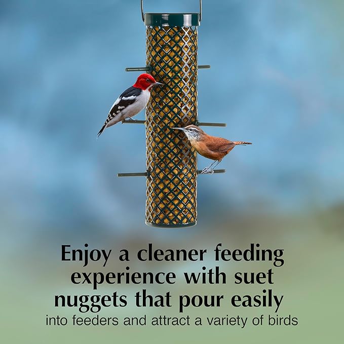 C&S Sunflower Suet Nuggets, Wild Birds Food For Woodpeckers, Chickadees, Nuthatches, and More, 8 Pounds