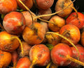 Detroit Golden Beet Seeds for Planting – Plant & Grow Heirloom Detroit Golden Beets in Home Outdoor Vegetable Garden, Beta vulgaris – 2 Packets
