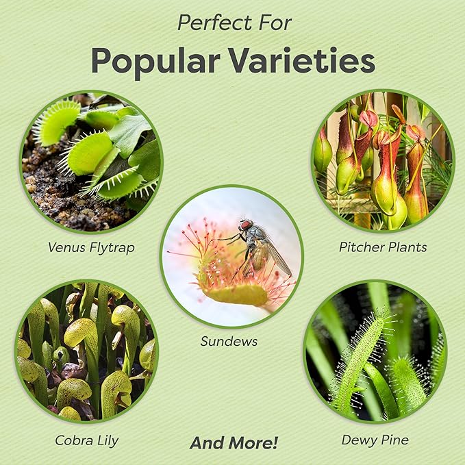 Premium Carnivorous Plant Food Spray by Perfect Plants | Plant Food Foliage Mist for Venus Fly Trap & Other Carnivorous Plants (8oz)