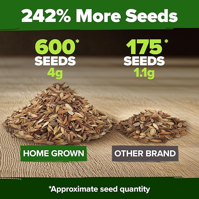 HOME GROWN Dwarf Zinnia Seeds Mix - 600 Pumila Zinnia Seeds for 2026 (0.6g) | Zinnia Flower Seeds for Planting Outdoors | Colorful Cut Annual Flowers for Summer Gardens & Containers (Zinnia elegans)