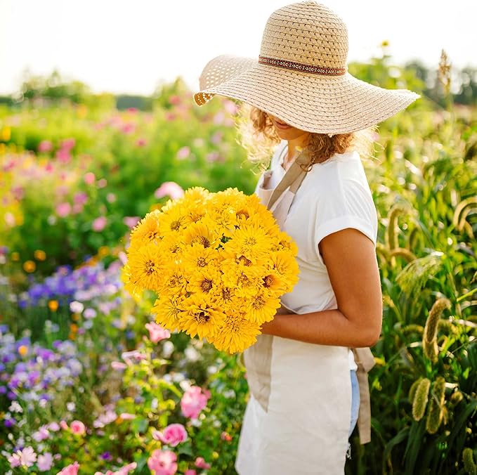 Eden Brothers Zinnia Seeds - Super Cactus Sungod, Non-GMO Seeds for Planting, Packet | Low-Maintenance Flower Seeds, Plant During Spring, Zones 3, 4, 5, 6, 7, 8, 9, 10