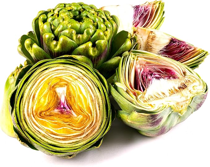 Artichoke Seeds 20 Seeds for Planting Non-GMO
