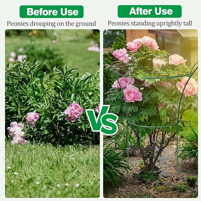 2 Pack Peony Cages and Supports Cages 13" D x 22.8" H Sturdy Metal Support Frame for Peonies & Roses Natural Bouquet Shape Garden Stakes for Outdoor Plants Flowers Ornamental (Green)
