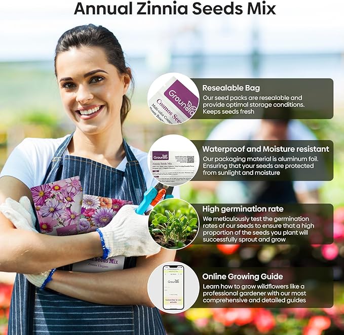 Groundio Zinnia Seeds, 2 Oz (2 Packs), Flowers Seeds for Planting, Wildflower Seeds Bulk, 5 Varieties Mixed Colors and Large Blooms, Open Pollinated, Non GMO Made in USA
