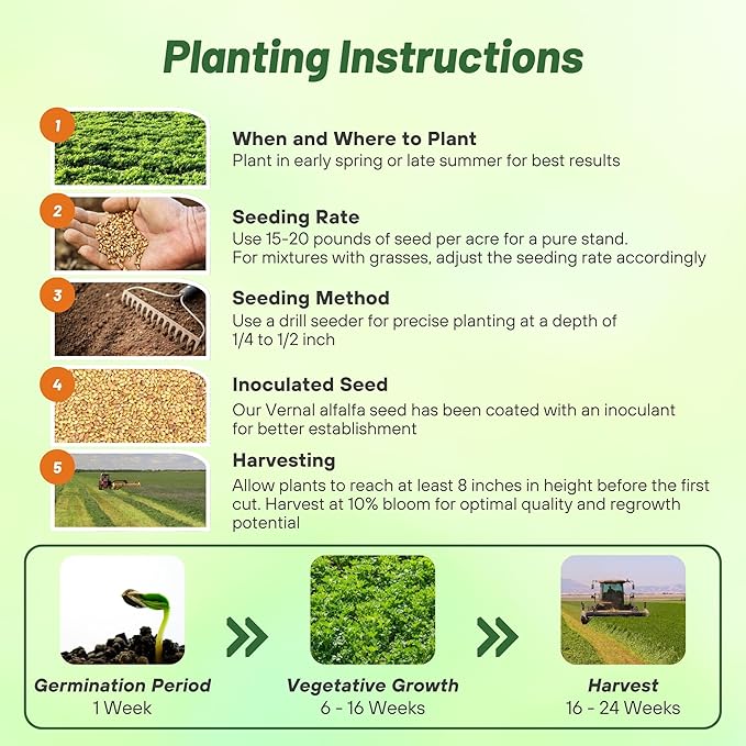 Outsidepride Perennial Alfalfa Seeds for Planting - 40 lbs High Yield, Nitrocoated, Inoculated Winter Hardy Forage Legume Seeds for Growing Lush Green Grass Lawns, Pastures, & Hay for Livestock