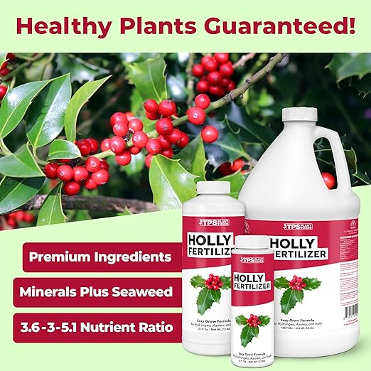 Holly Fertilizer – Liquid Plant Food for Deep Green Leaves, Dense Growth & Strong Roots, 1 Gallon
