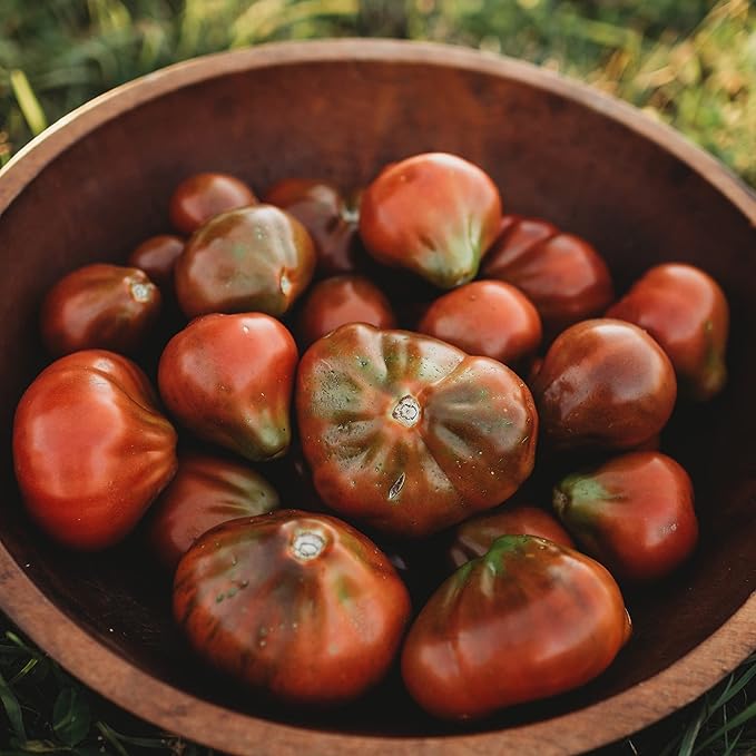 Japanese Trifele Black Heirloom Plum/Paste Tomato - 50 Seeds - Heirloom & Open-Pollinated Variety, Non-GMO Vegetable Seeds for Planting in The Home Garden, Thresh Seed Company