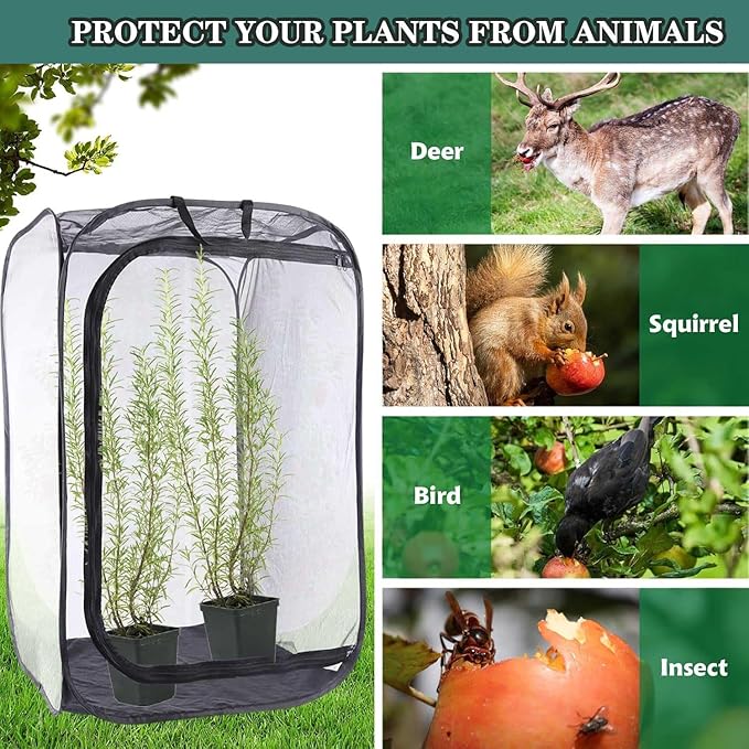 Mesh Plant Enclosure Pop-Up Cage Plant Protection Tent, 24”x 24”x 36” Mesh Plant Cover Grow Tent Plant Cover for Fruit, Vegetables, Pests, Bird and Pest Protection Guard for Flowers and Herbs