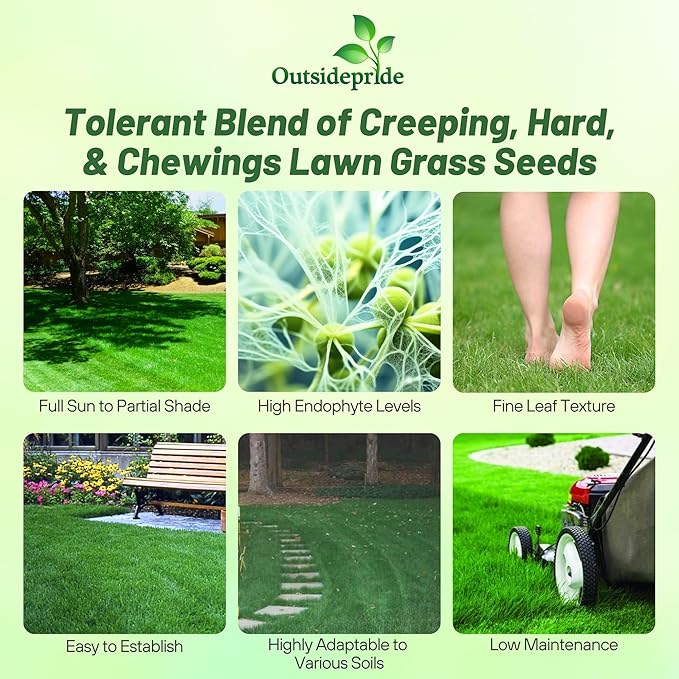 Outsidepride Legacy Fine Fescue Grass Seed Mix - 5 lbs. Shade & Sun Tolerant Blend of Hard Fescue, Chewings Fescue & Creeping Red Fescue with OptiGrowth Coating for Better Establishment