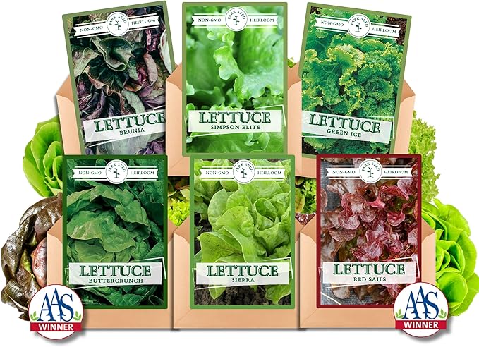 Park Seed Lettuce Salad Mix Edible Plant Seeds – Master Chef Blend with Brunia, Simpson Elite, Sierra & Red Sails Varieties, Sweet and Crisp Gourmet Greens, Pack of 600