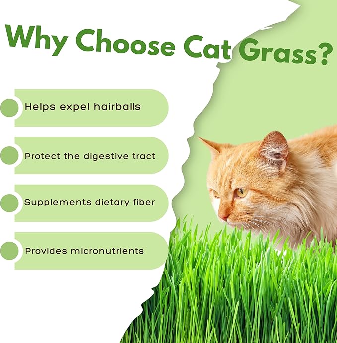 Environet Cat Grass Kit for Indoor Cat, Organic Grass Growing Kit with Seeds, Soil and Planting Tools, Quick Germination, Perfect for Beginners, 3-Pack Plastic Pots