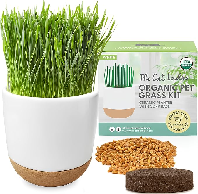 The Cat Ladies Cat Grass for Indoor Cats Kit with Organic Cat Grass Seed Mix, Soil and Ceramic & Cork Planter, Natural Hairball Remedy