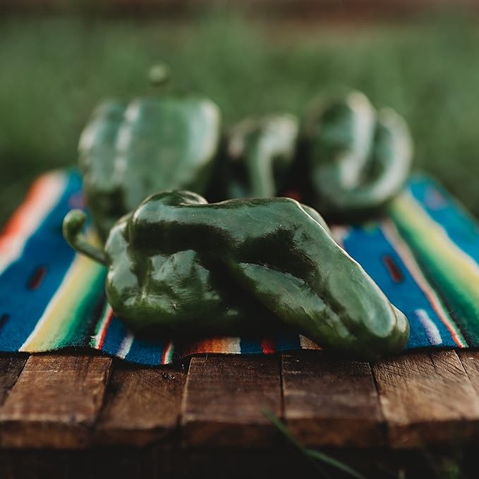 Poblano Ancho Gigantea Chili Pepper (Mildly Hot) - 10 Seeds - Heirloom Mexican Chile Variety, Non-GMO Vegetable Seeds for Planting in The Home Garden, Thresh Seed Company