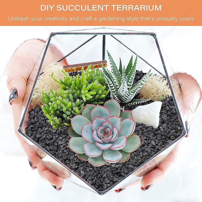 NUPICK 6lb Black Lava Rocks for Plants, 3/8" Succulent Potting Soil Amendments, Decorative Lava Rocks for Fire Pit, Volcanic Gravel for Aquarium, Natural Pebbles Pumice for Cactus, Vase, Top Dressing