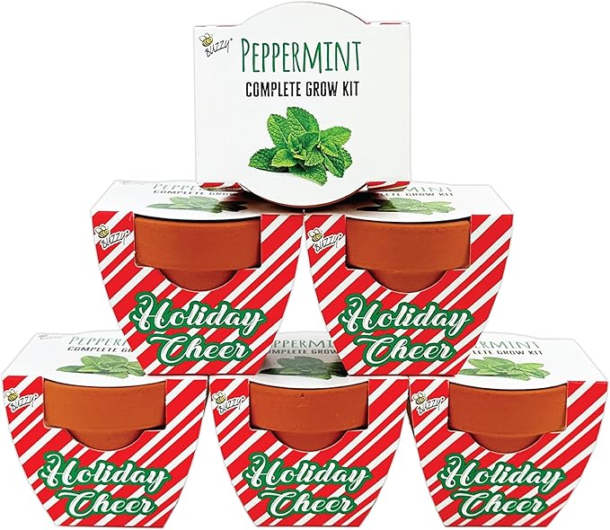 BUZZY Seeds Holiday Candy Cane Mini Terracotta Grow Pots, 6-Pack Peppermint Seeds, Indoor Plant Starter Kit, Stocking Stuffers, Party Favors