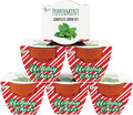 BUZZY Seeds Holiday Candy Cane Mini Terracotta Grow Pots, 6-Pack Peppermint Seeds, Indoor Plant Starter Kit, Stocking Stuffers, Party Favors