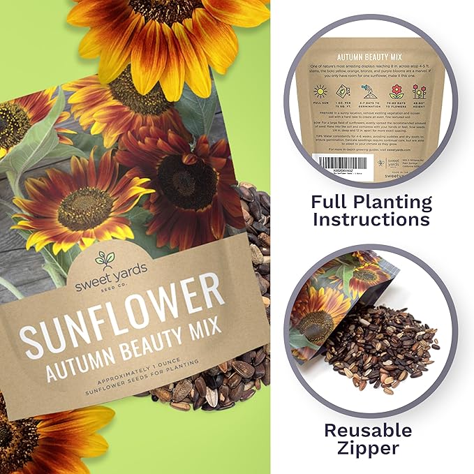 Autumn Beauty Sunflower Seeds – Extra Large Packet – Over 1,400 Open Pollinated Non-GMO Wildflower Seeds – Helianthus annus – Beautiful Shades of Gold, Bronze, Yellow, and Purple