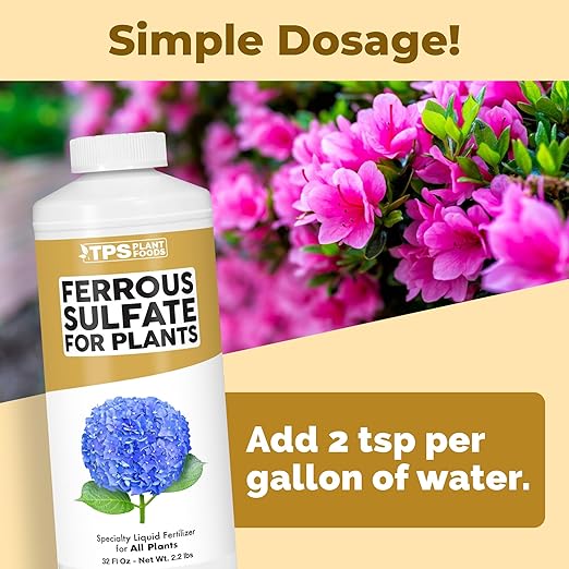 Ferrous Sulfate for Plants – Liquid Iron Supplement for Greener Leaves, Improved Chlorophyll Production & Reduced Yellowing, 32 oz