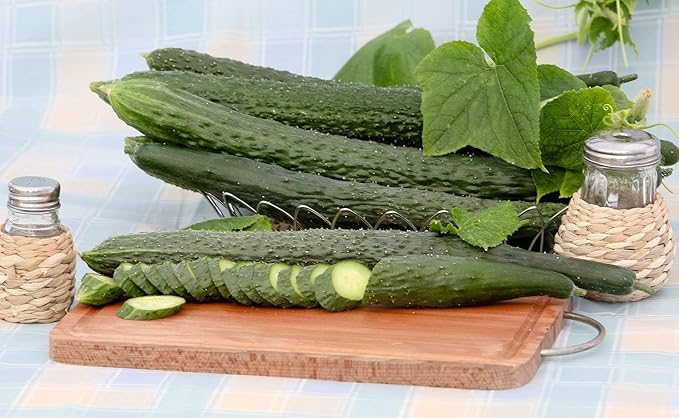 Seeds Cucumber Burpless Chinese Miracle Snake Giant Long Rare Vegetable for Planting Non GMO