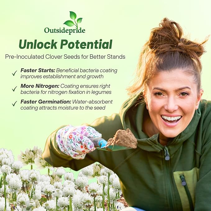 Outsidepride Perennial White Ladino Clover Seed - 5 lbs. Nitrocoated, Inoculated Bulk Clover Seeds, Ideal for Pasture, Forage, Food Plots & Wildlife Ground Cover for Continuous & Rotational Grazing