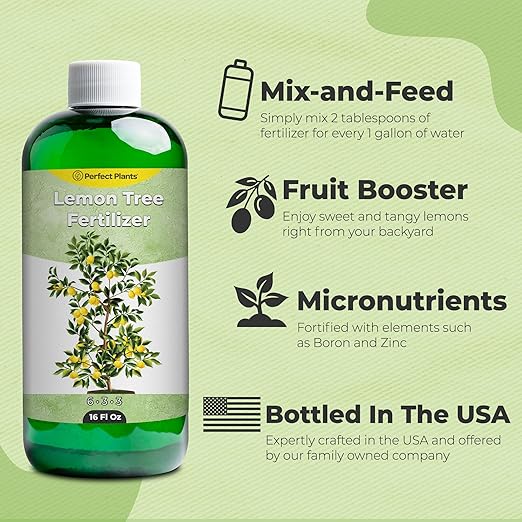 Liquid Lemon Tree Fertilizer by Perfect Plants | Citrus Plant Food for Fast Growth and Happy Live Lemon Trees | 6-3-3 Formula Rich in Nitrogen and Other micronutrients (16oz)