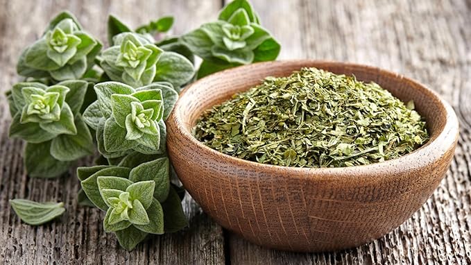 Seeds4planting - Seeds Oregano Heirloom Herbs Non GMO