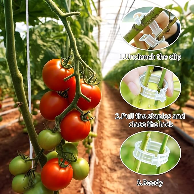 30pcs Tomato Support Hooks with 60pcs Tomato Clips, J Hooks to Prevent Tomatoes from Pinching or Falling Off, Garden Hooks with 33.3ft Twine, Plant Climbing Hooks for Tomatoes Cucumber