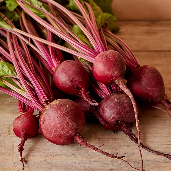 Burpee Organic Detroit Dark Red Beet Seeds - Dual-Purpose Root and Greens