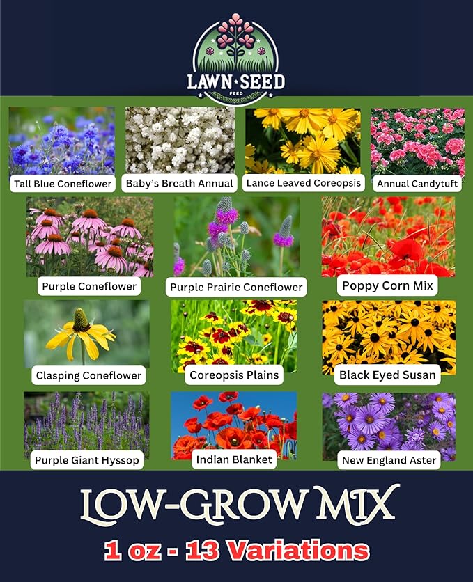 Low Growing Wildflower Mix (1oz) Sprinkle a Little Magic—Our Shade, Perennial, Hummingbird, Deer-Resistant, and Other mixes Bring Vibrant Color and pollinator Joy to Any Space.