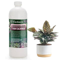 𝐏𝐑𝐎𝐅𝐄𝐒𝐒𝐈𝐎𝐍𝐀𝐋 Liquid Silica Plant Supplement - 32oz - CALATHEA Plants Liquid Silica Boost Fertilizer - Stronger Stems & Healthy Leaves for Indoor & Outdoor Calathea (Makes 180 Gallons)