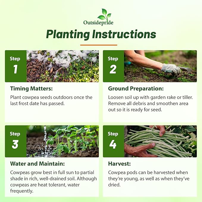 Outsidepride Cowpeas Seeds - 50 lbs Heat & Drought-Tolerant, Nutrient-Rich Cowpea Seeds for Cover Crops, Food Plots, Forage - Ideal for Planting, Enhancing Soil Health, and Improving Soil Fertility