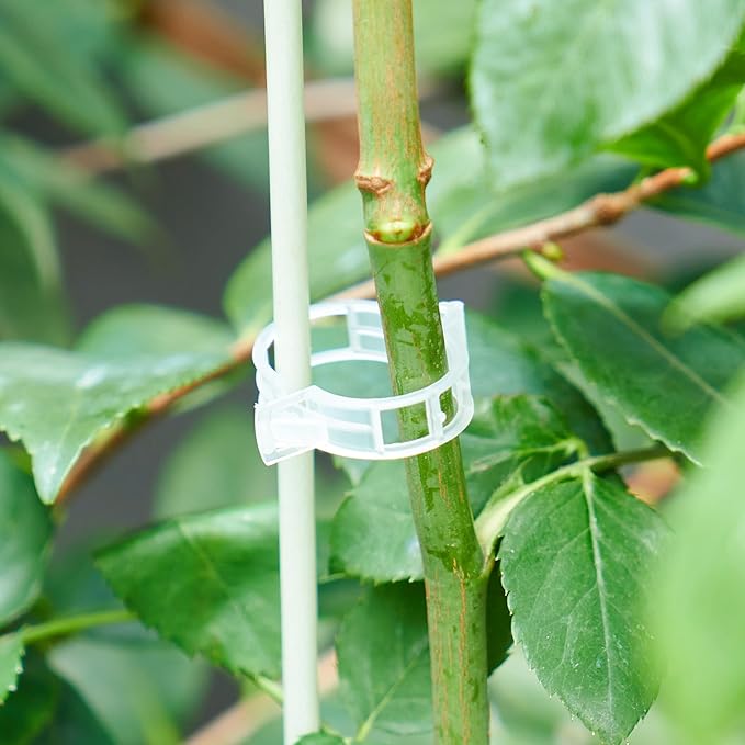 100Pcs Garden Vine Plant Support Clips,Plastic Fixing Clips for Securing and Training Climbing Plants,Tomatoes,Grapes,Vine Vegetables and Potted Plant (100, White)