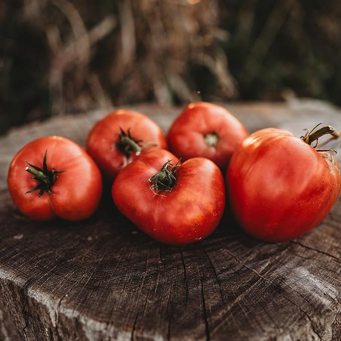 Anna Russian Tomato - 50 Seeds - Heirloom Pink Oxheart Tomato, Slicing/Paste Variety, Non-GMO Vegetable Seeds for Planting in The Home Garden, Thresh Seed Company