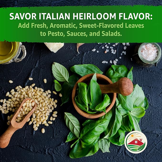 TKE Farms & Gardens - Genovese Basil Seeds for Planting, 600+ Heirloom Non-GMO Italian Basil Seeds, Sweet Culinary Herb, Grow Indoors or Outdoors, Delicious Basil Plants, Instructions Included
