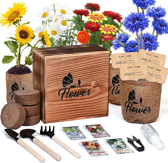 Sproutix Indoor Daisy Garden Starter Kit, 4 Flower Seeds Growing into Shasta Daisy, Cornflower, Sunflower, Zinnia, Including Complete Gardening Tools, Christmas Gifts for Women Men & Beginners